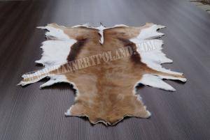 Sheepskins - African leather - 0054